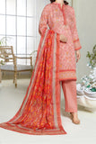 Mahnoor Printed Bana Dora D10