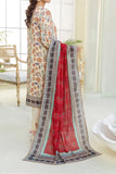 Mahnoor Printed Bana Dora D3