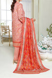 Mahnoor Printed Bana Dora D10