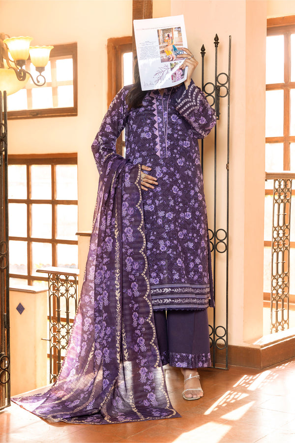 Sparkles Fancy Printed Bana Dora Collection D10
