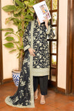Sparkles Fancy Printed Bana Dora Collection D2