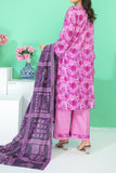 Zara Lawn Printed Collection Vol 07 D10