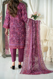 Hoorain Printkari Collection D1