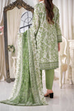 Hoorain Printkari Collection D5